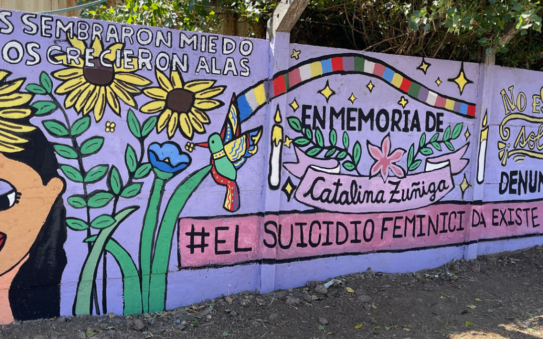 Mural Venus: Un espacio de arte urbano local, sustentable y feminista