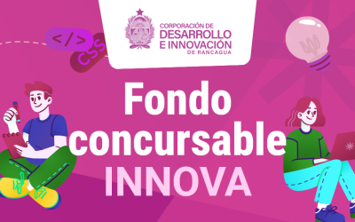 Propuestas seleccionadas del Fondo Concursable INNOVA Rancagua