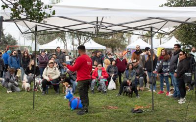 Cientos de rancagüinos, rancagüinas y perritos celebraron el Día Mundial del Perro en “Patitas al Parque”