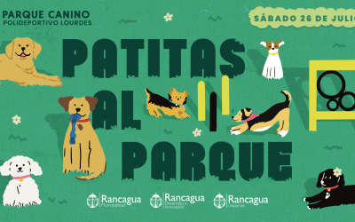 “Patitas al Parque”: CDIR te invita a celebrar el Día Mundial del Perro